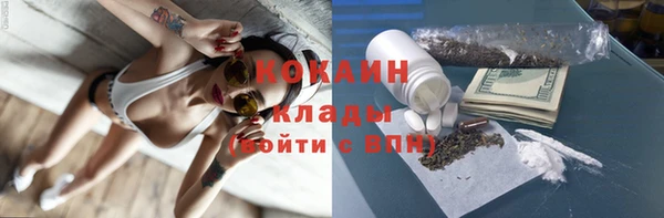 стаф Абинск