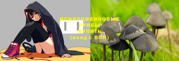 мяу мяу мука Абаза