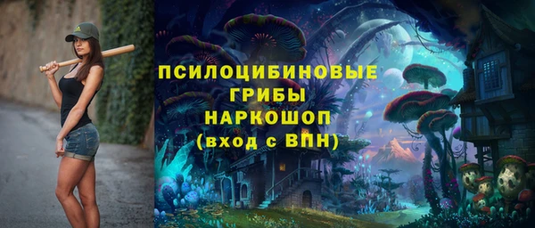 мяу мяу мука Абаза