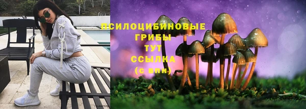 мяу мяу мука Абаза