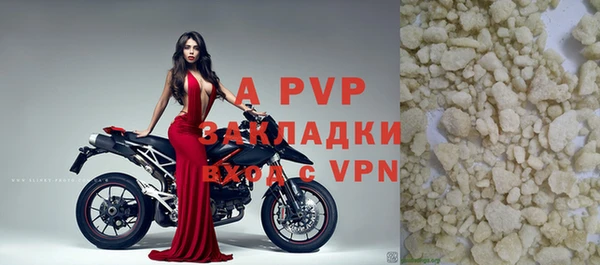 стаф Абинск