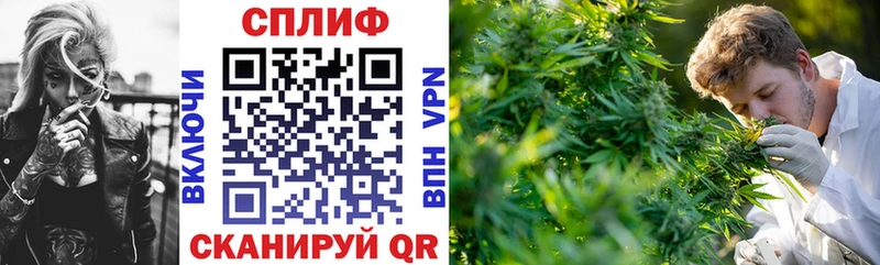 Каннабис VHQ купить наркотики цена Нижняя Тура